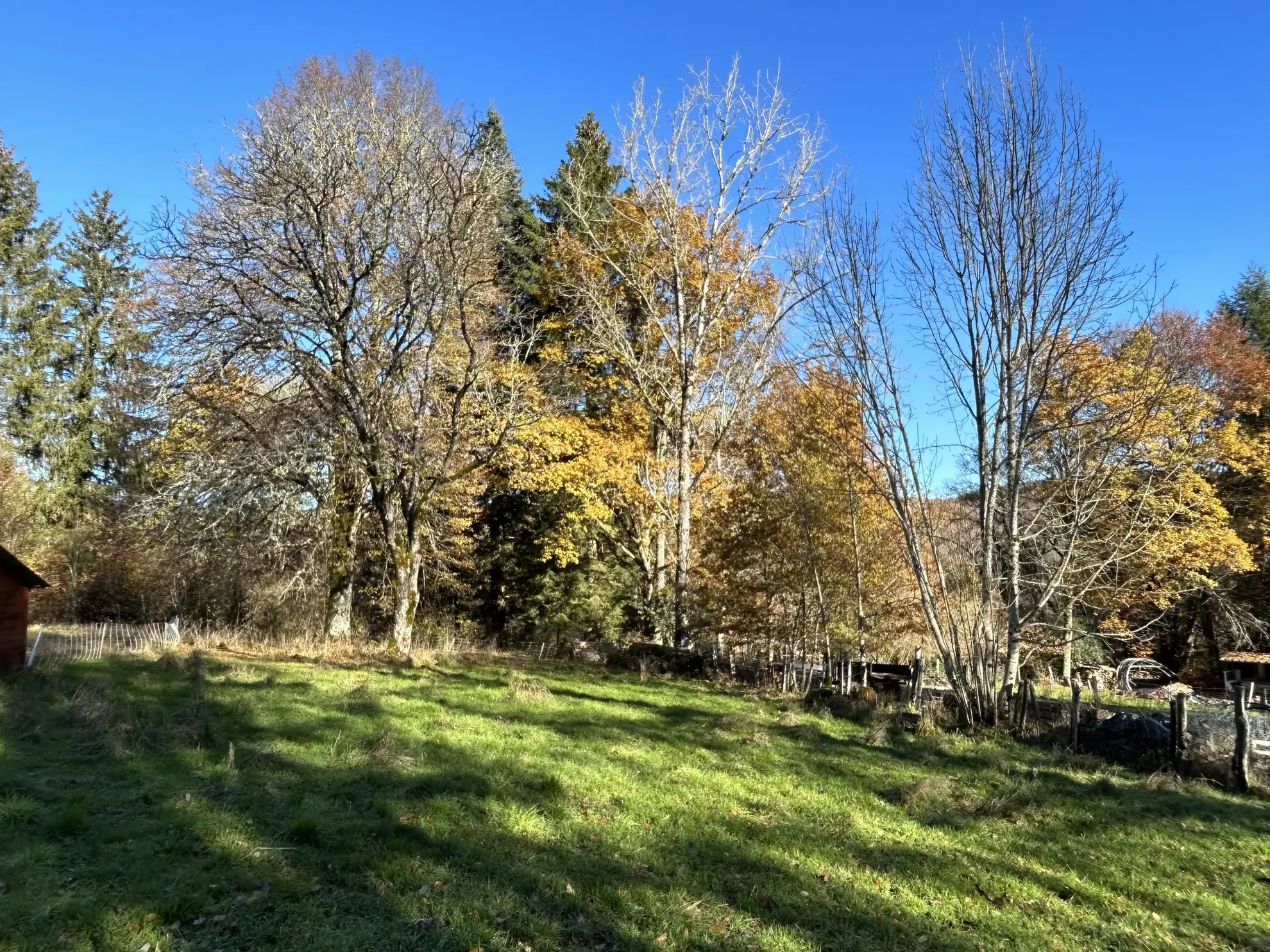 Maison en pierre rénovée avec terrain à Grandsaigne, proche d'Egletons 