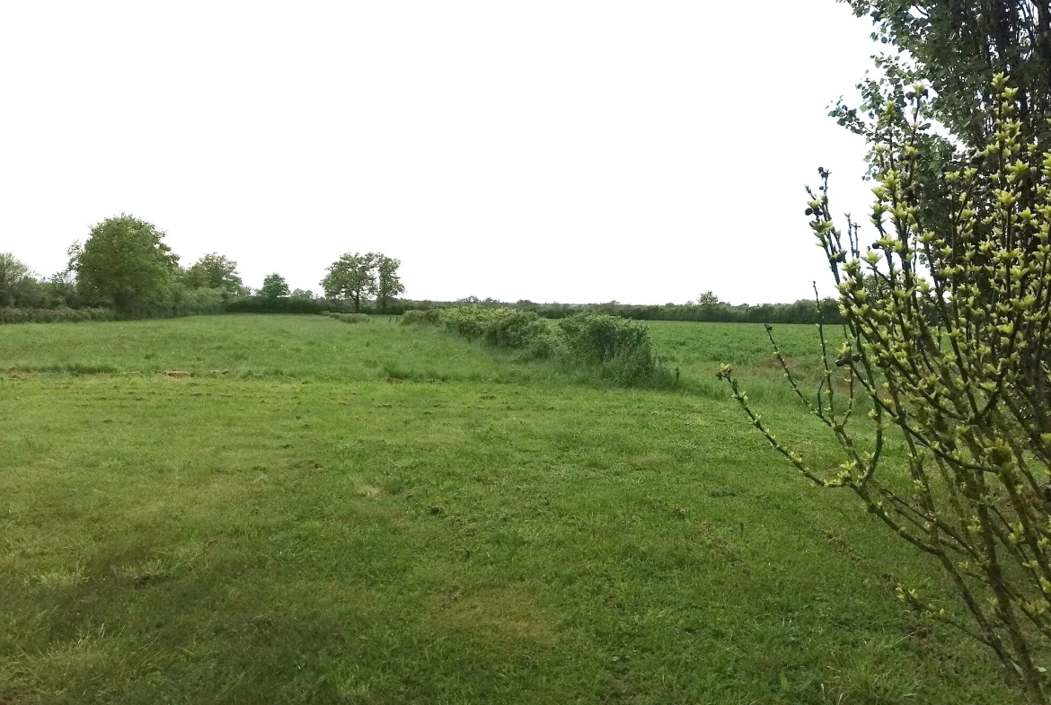 Charmante longère rénovée avec terrain de 11 000 m² à Magny Cours 