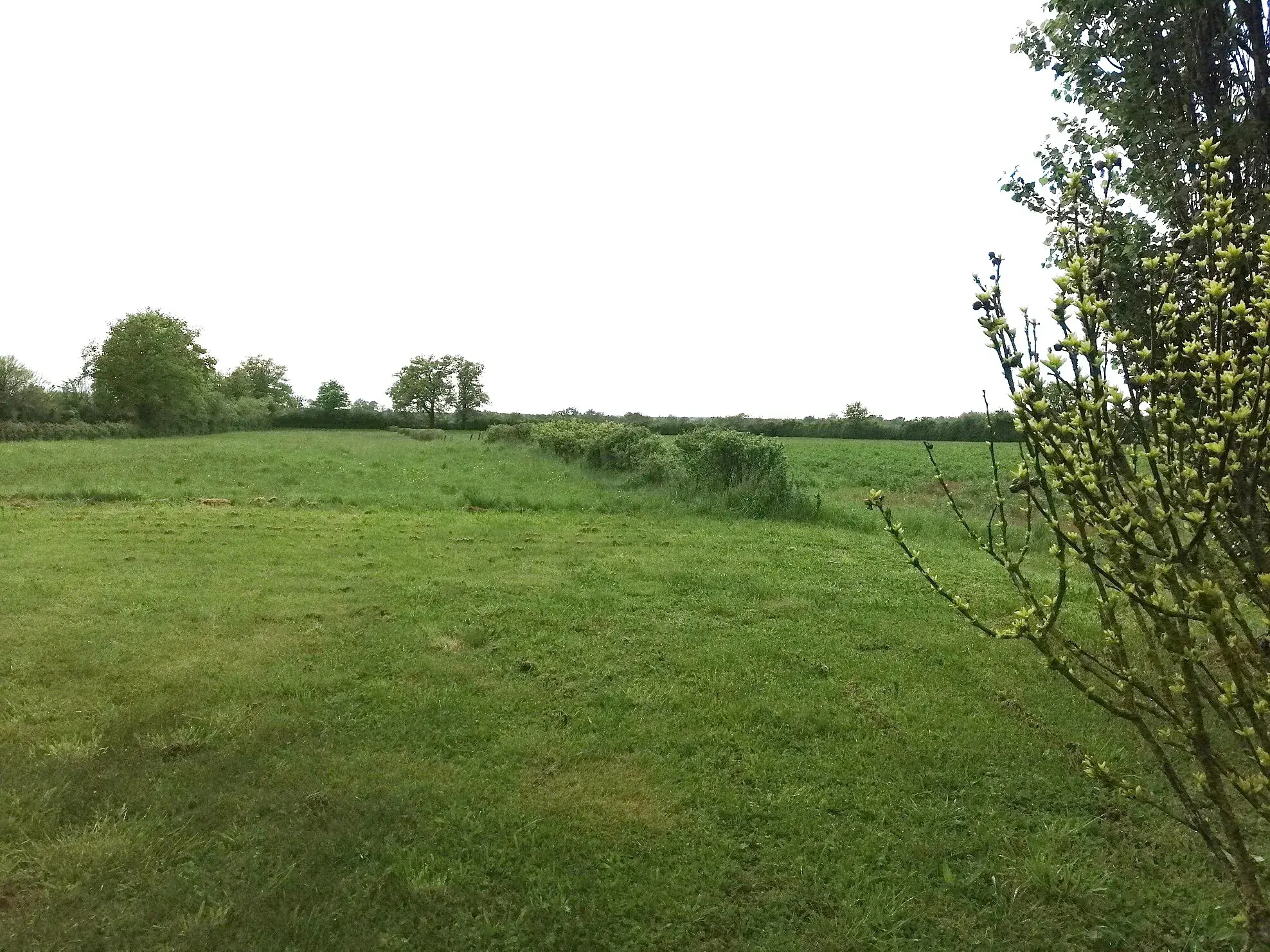 Charmante longère rénovée avec terrain de 11 000 m² à Magny Cours 