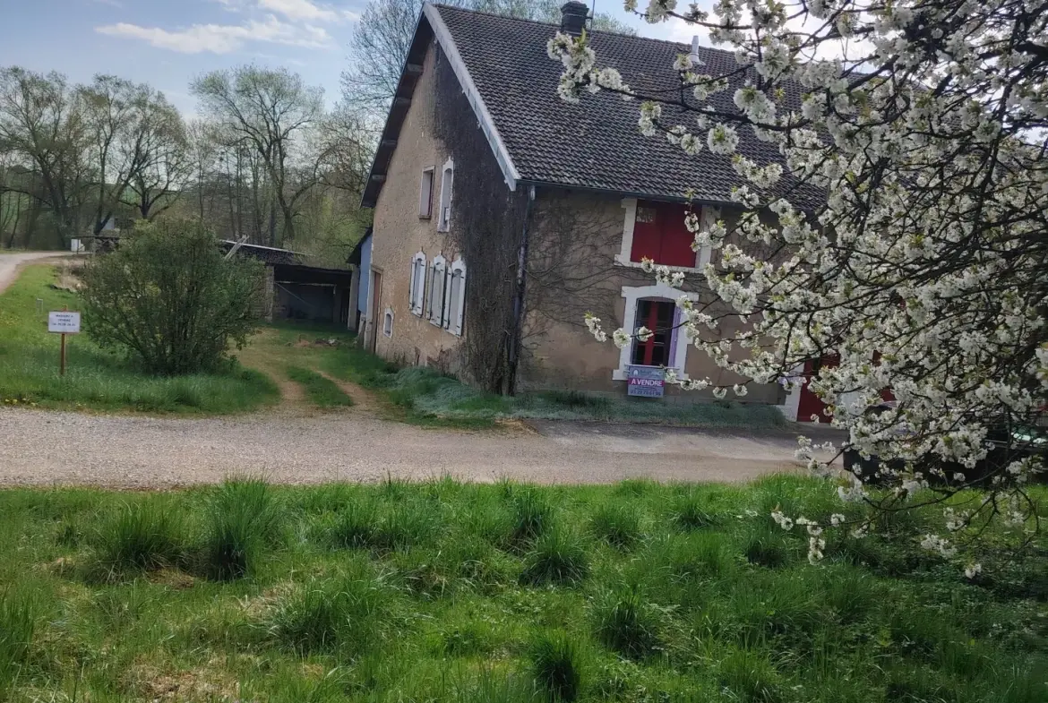 Maison spacieuse avec grand potentiel à Bonzee proche de Fresnes 