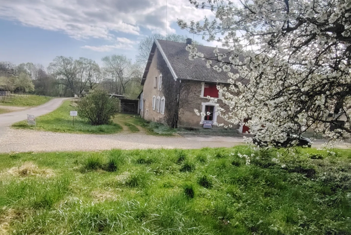 Maison spacieuse avec grand potentiel à Bonzee proche de Fresnes 