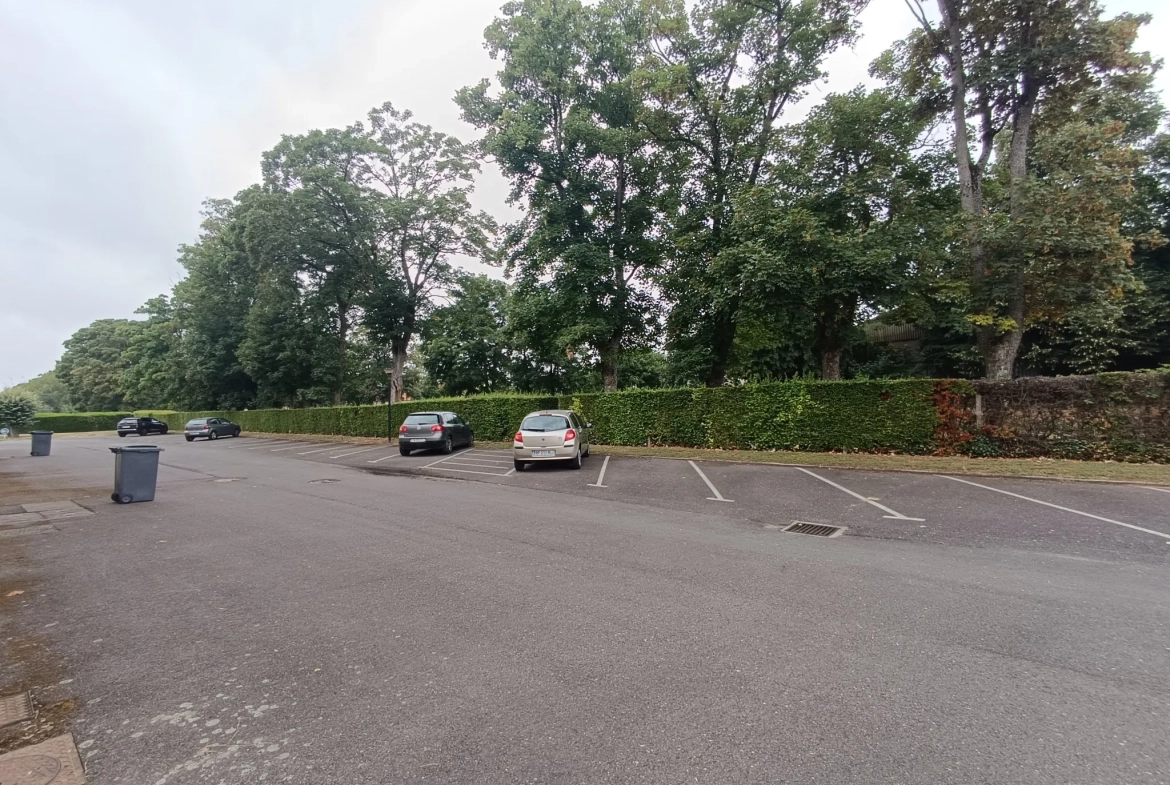 Appartement 3 pièces lumineux de 74,77 m² à Vierzon avec garage et parking 