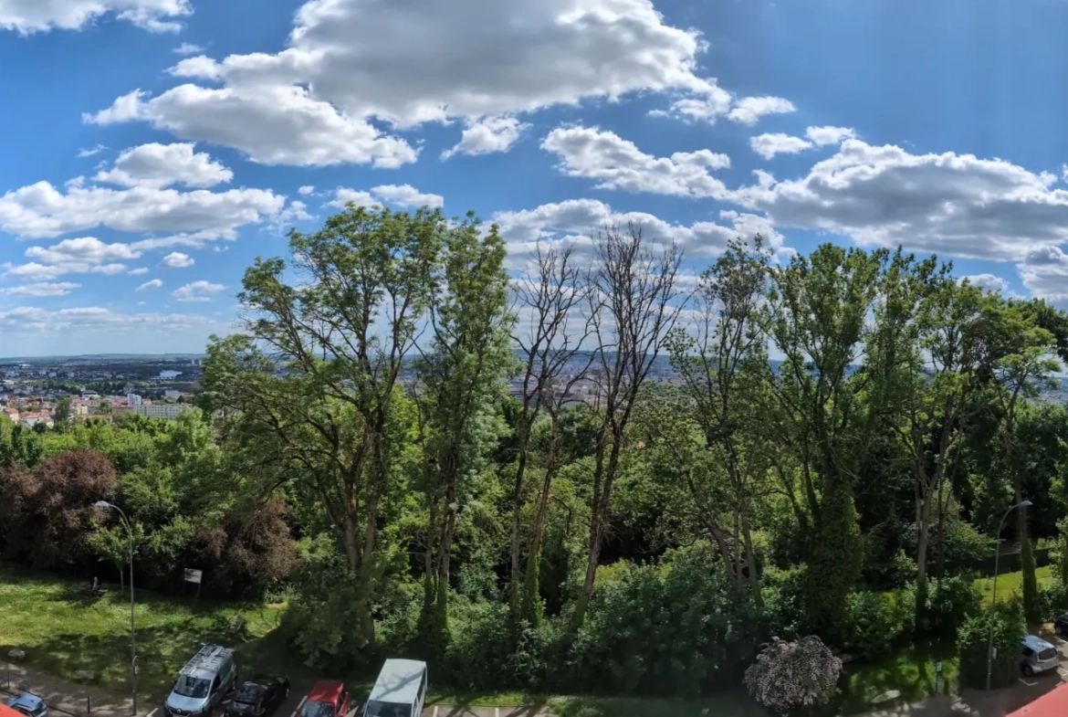 Appartement T3 rénové avec vue panoramique à Malzéville, près de Nancy 