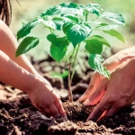 Appartement 2 pièces à Argenteuil livraison 2027, balcon et parking inclus