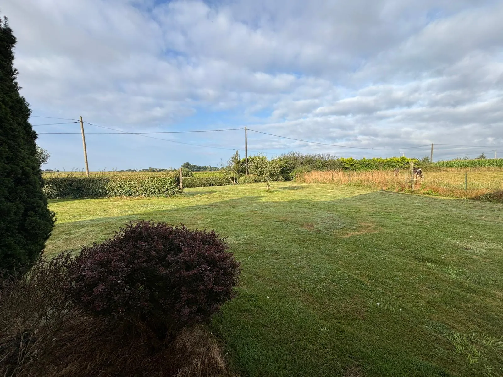 Maison à vendre à Plabennec avec terrain de 1500 m² et espace d'extension 