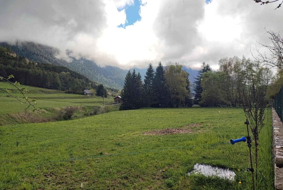 Terrain constructible de 2 814 m² à Saint-Dalmas de Valdeblore avec belle vue montagne 