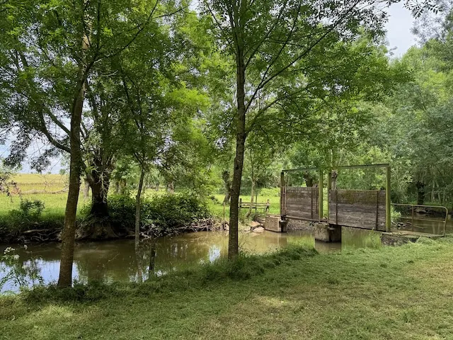 Terrain de loisirs en bord de rivière à Ste Hermine - Calme et arboré 