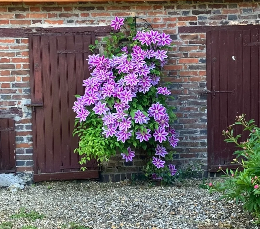 Maison à vendre proche d'Aix-en-Provence avec terrain et dépendances 