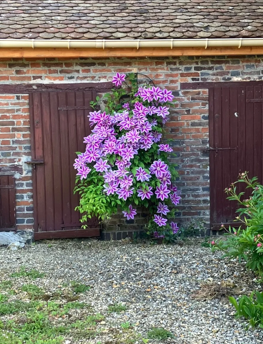 Maison à vendre proche d'Aix-en-Provence avec terrain et dépendances 
