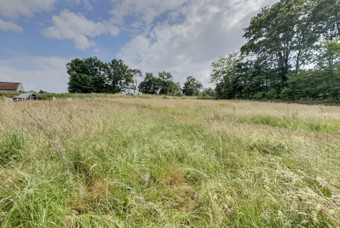 Terrain à Montfort en Chalosse de 2536 m² à vendre à 59 000 euros 