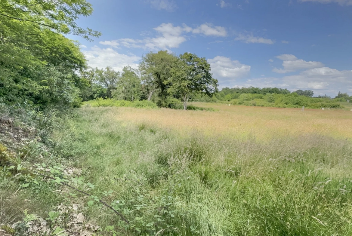 Terrain à Montfort en Chalosse de 2536 m² à vendre à 59 000 euros 