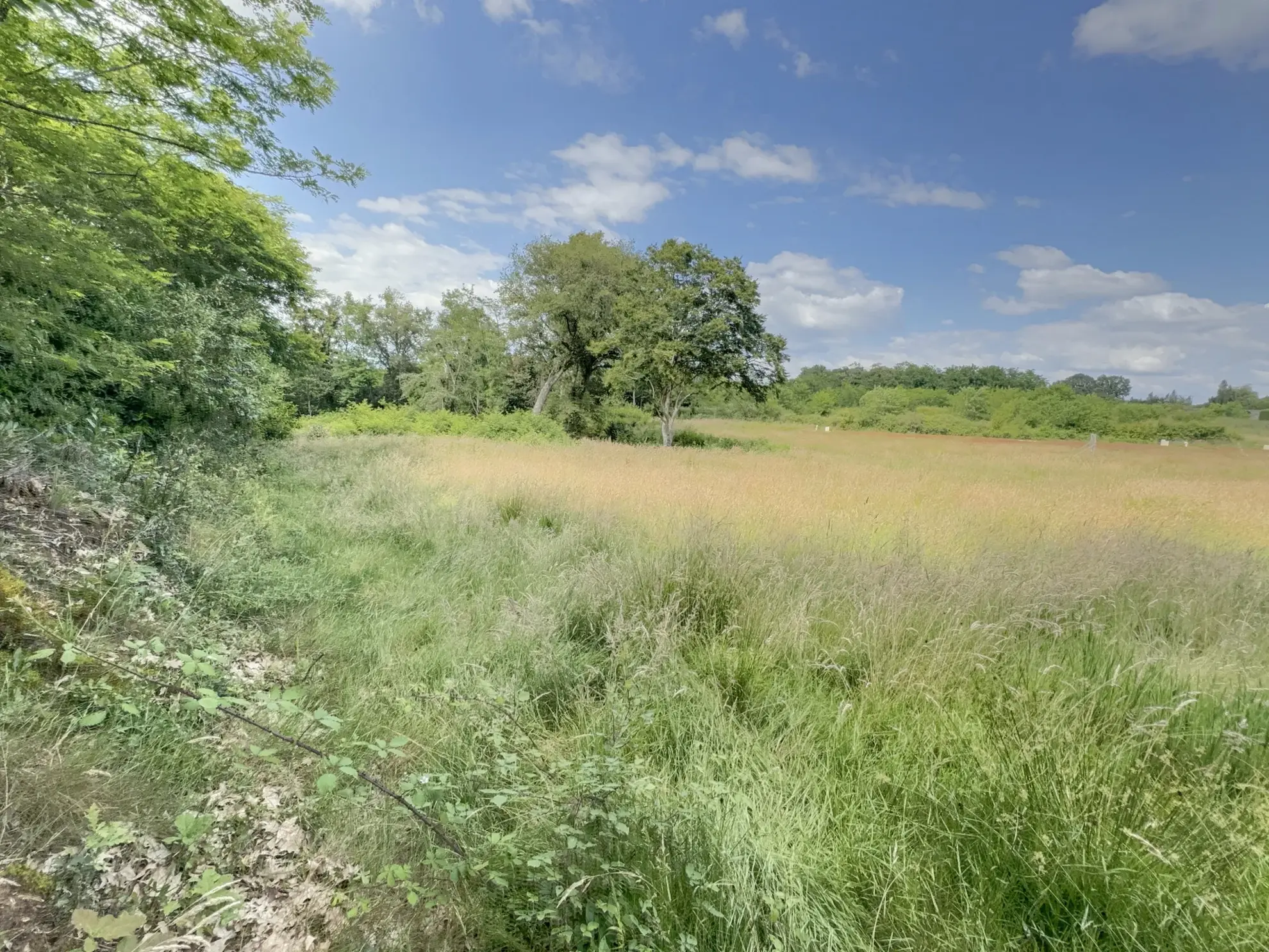 Terrain à Montfort en Chalosse de 2536 m² à vendre à 59 000 euros 