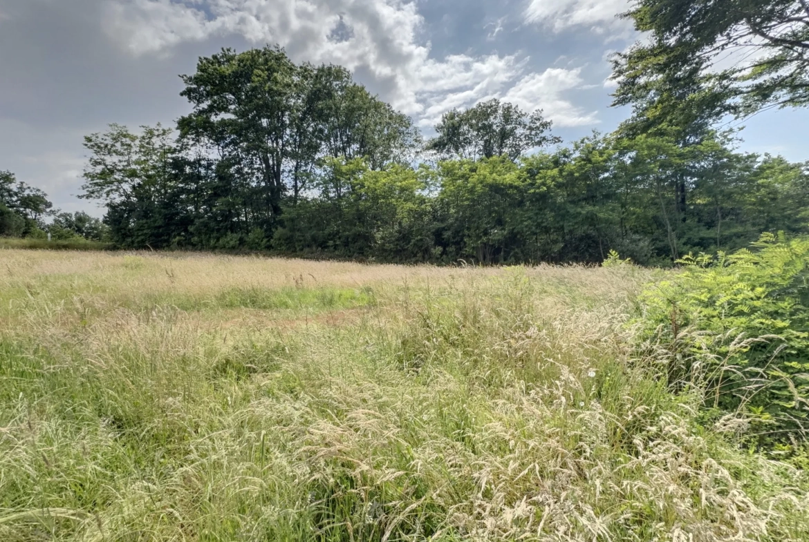 Terrain à Montfort en Chalosse de 2536 m² à vendre à 59 000 euros 