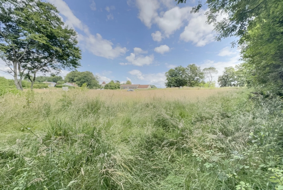 Terrain à Montfort en Chalosse de 2536 m² à vendre à 59 000 euros 