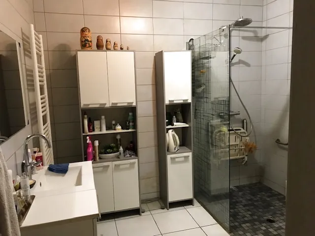 Maison ancienne à vendre à Gerbeviller, 172 m², terrain 4500 m², proche Lunéville 