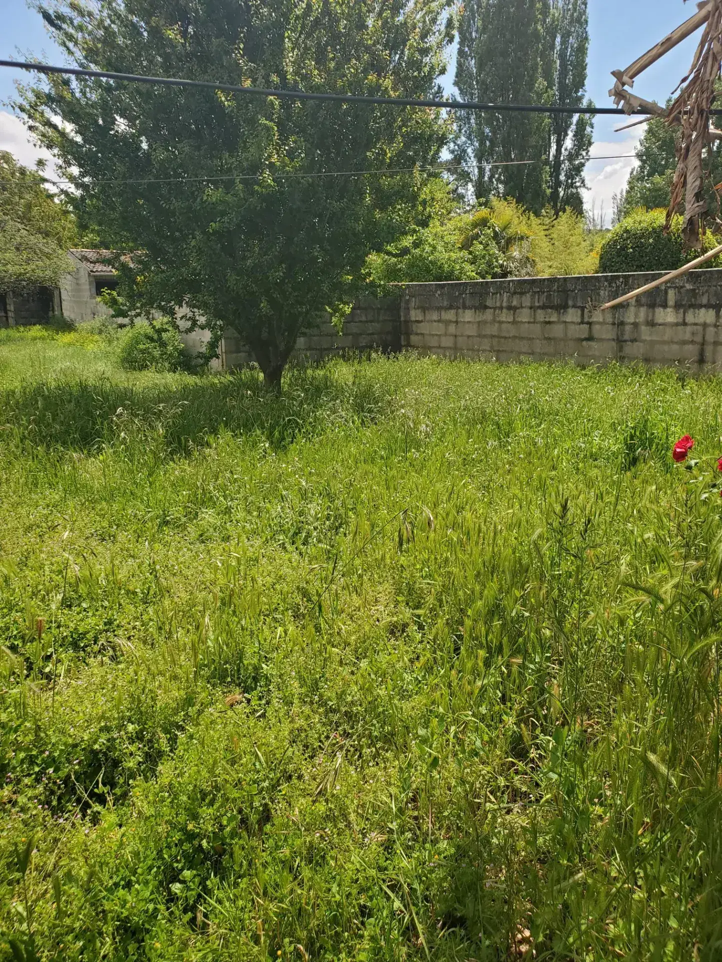 Terrain à bâtir de 404 m² à Saint-Palais-sur-Mer - Quartier résidentiel 