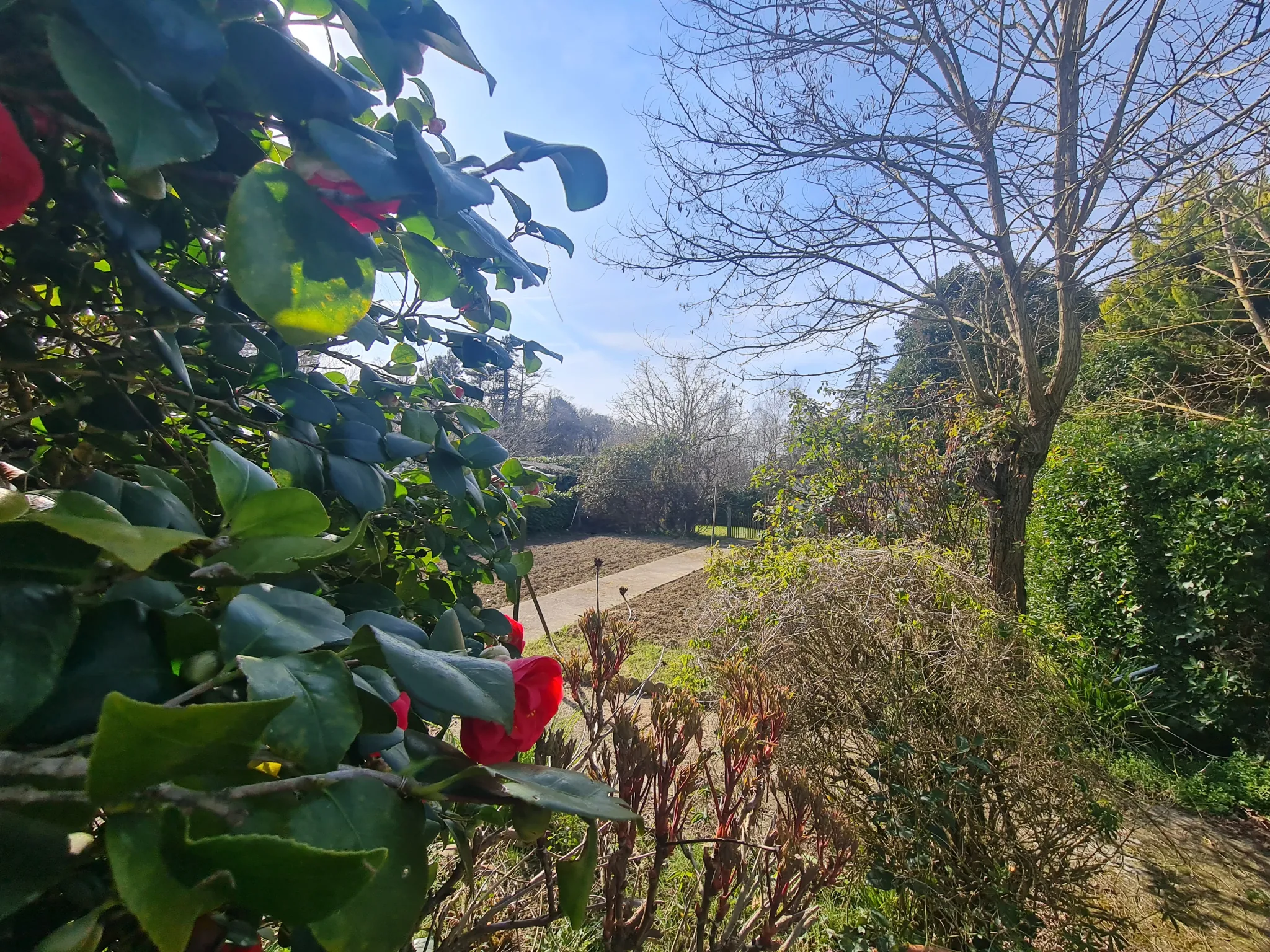 Maison de plain-pied à vendre avec garage et jardin à Saint-Sulpice-sur-Léze 
