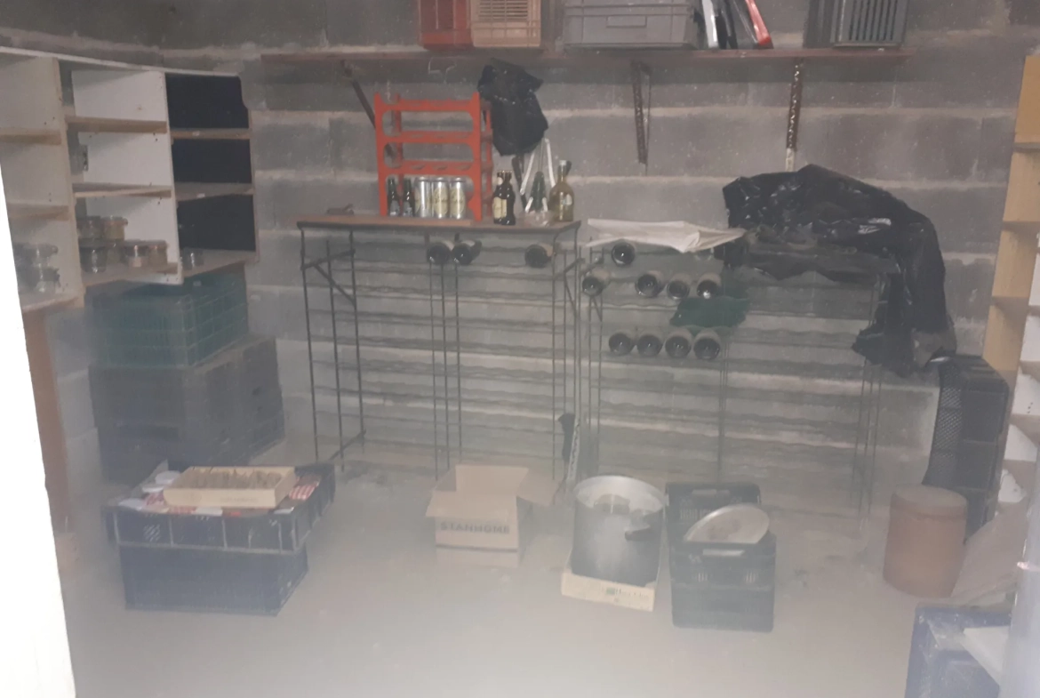 Maison 3 chambres avec terrasse, jardin et garage à Buxeuil 37160 