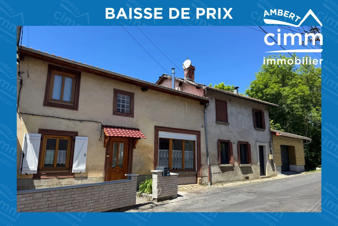 Opportunité unique : deux maisons mitoyennes avec garages et jardin à Ambert 