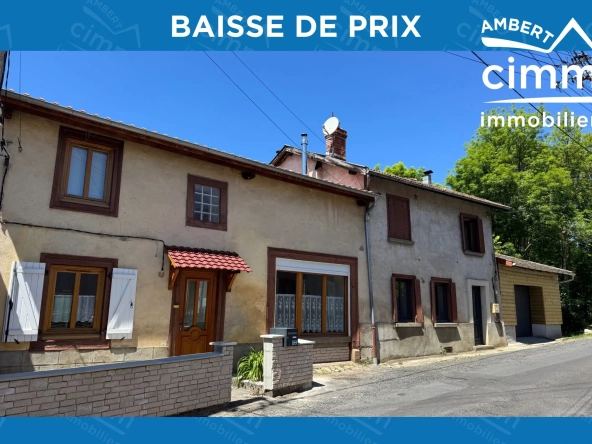 Opportunité unique : deux maisons mitoyennes avec garages et jardin à Ambert