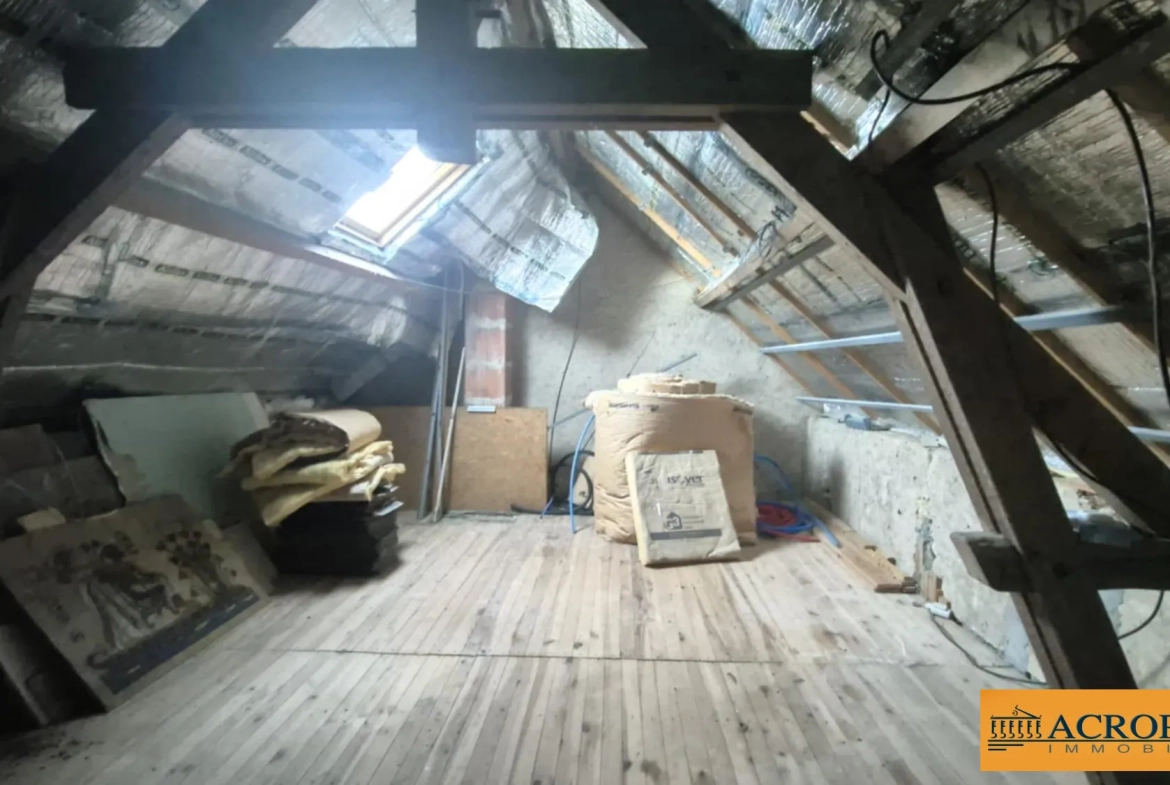 Ferme à rénover de 58 m² avec grand jardin à Argent-sur-Sauldre 
