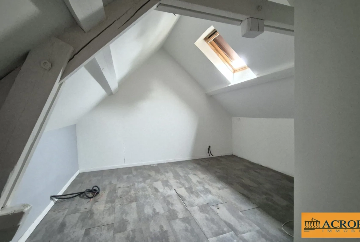 Ferme à rénover de 58 m² avec grand jardin à Argent-sur-Sauldre 