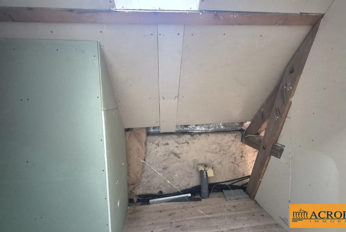 Ferme à rénover de 58 m² avec grand jardin à Argent-sur-Sauldre 