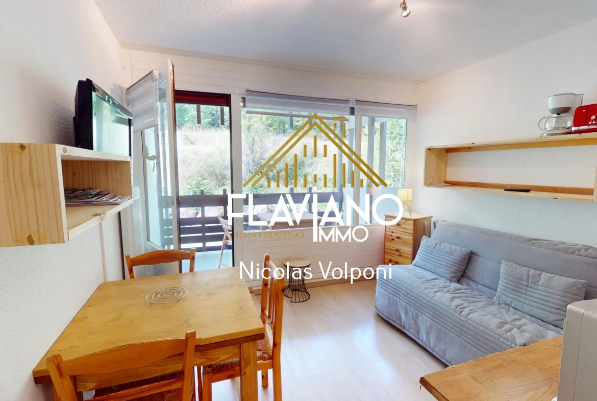 Appartement T2 de 24,50 m² au Le Sauze avec station skiing et parking 