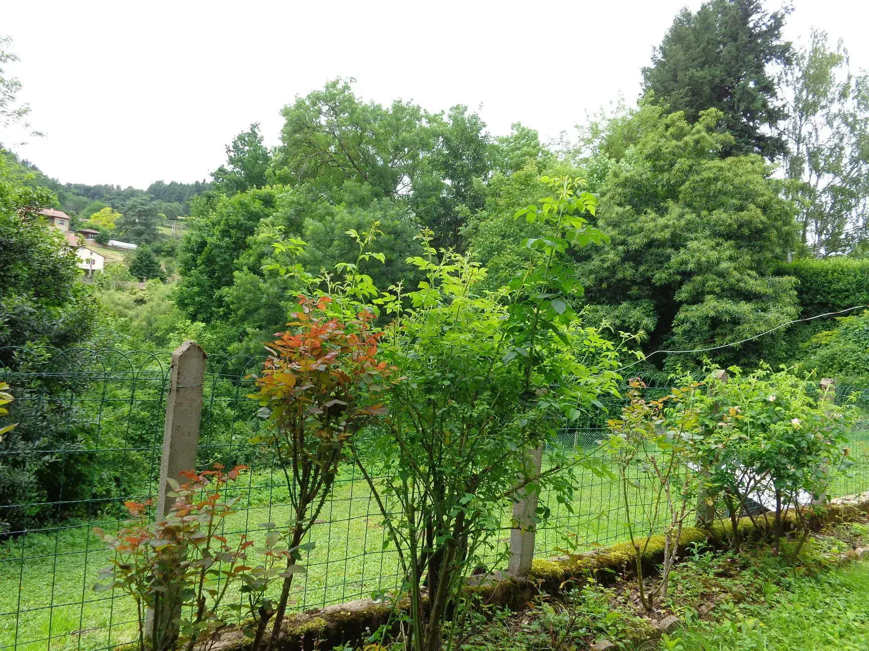Maison de village à Chambost-Allières avec terrasse, garage et grenier aménageable 