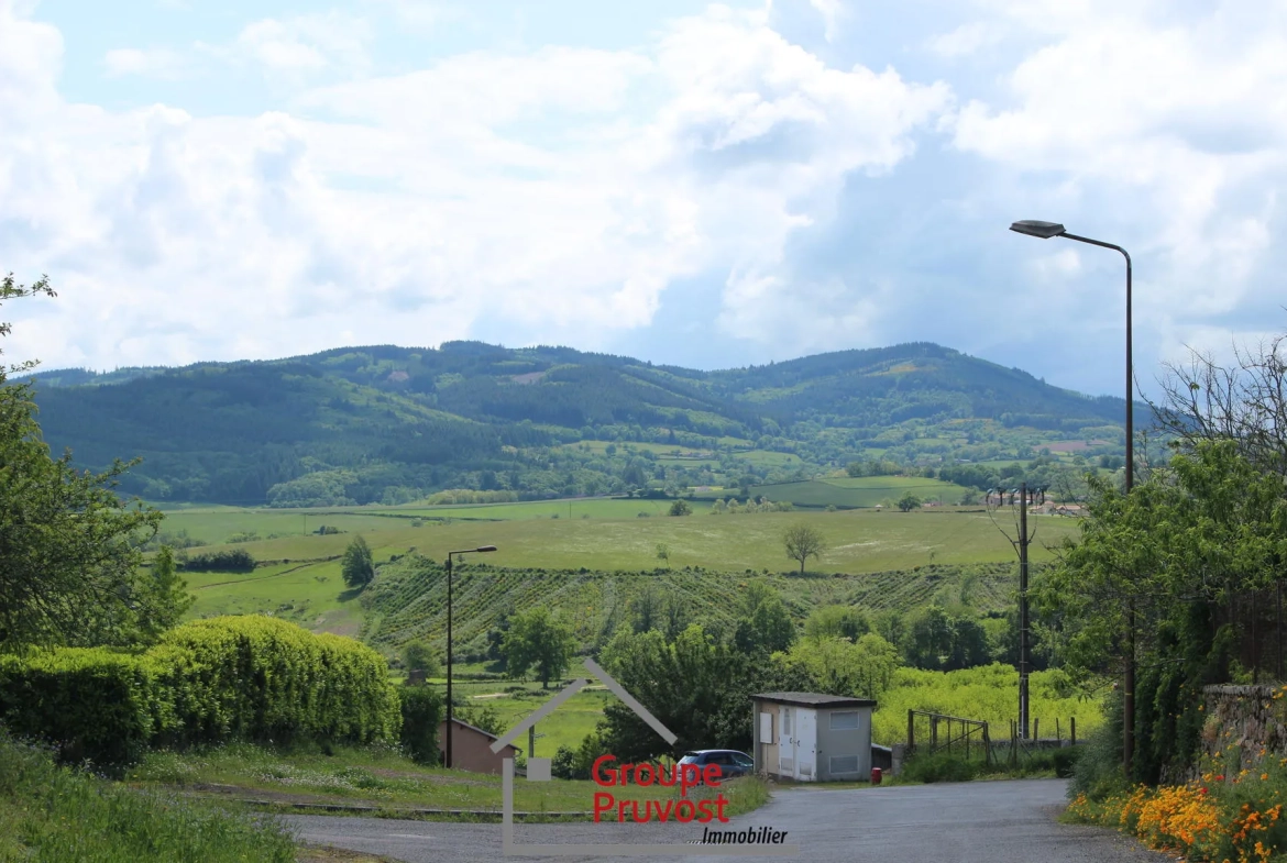 Charmante maison à vendre à Dompierre-les-Ormes avec cour et potentiel de rénovation 