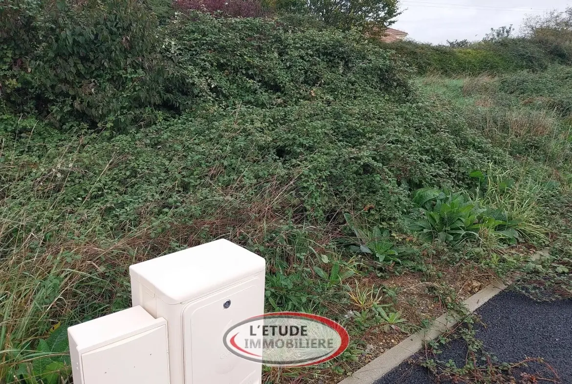 Terrain constructible de 400 m² à Sainte-Pazanne avec voirie déjà réalisée 