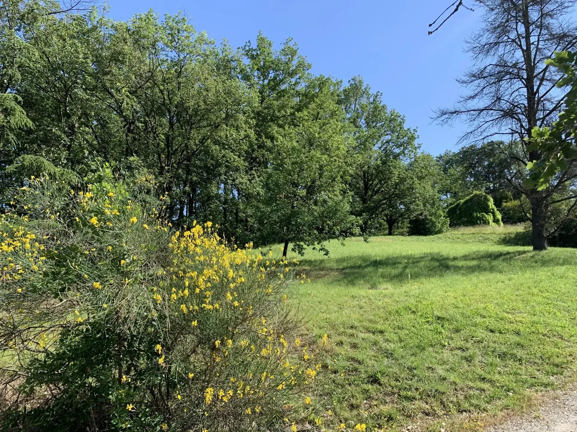 A vendre terrain constructible à Puygouzon avec vue exceptionnelle 