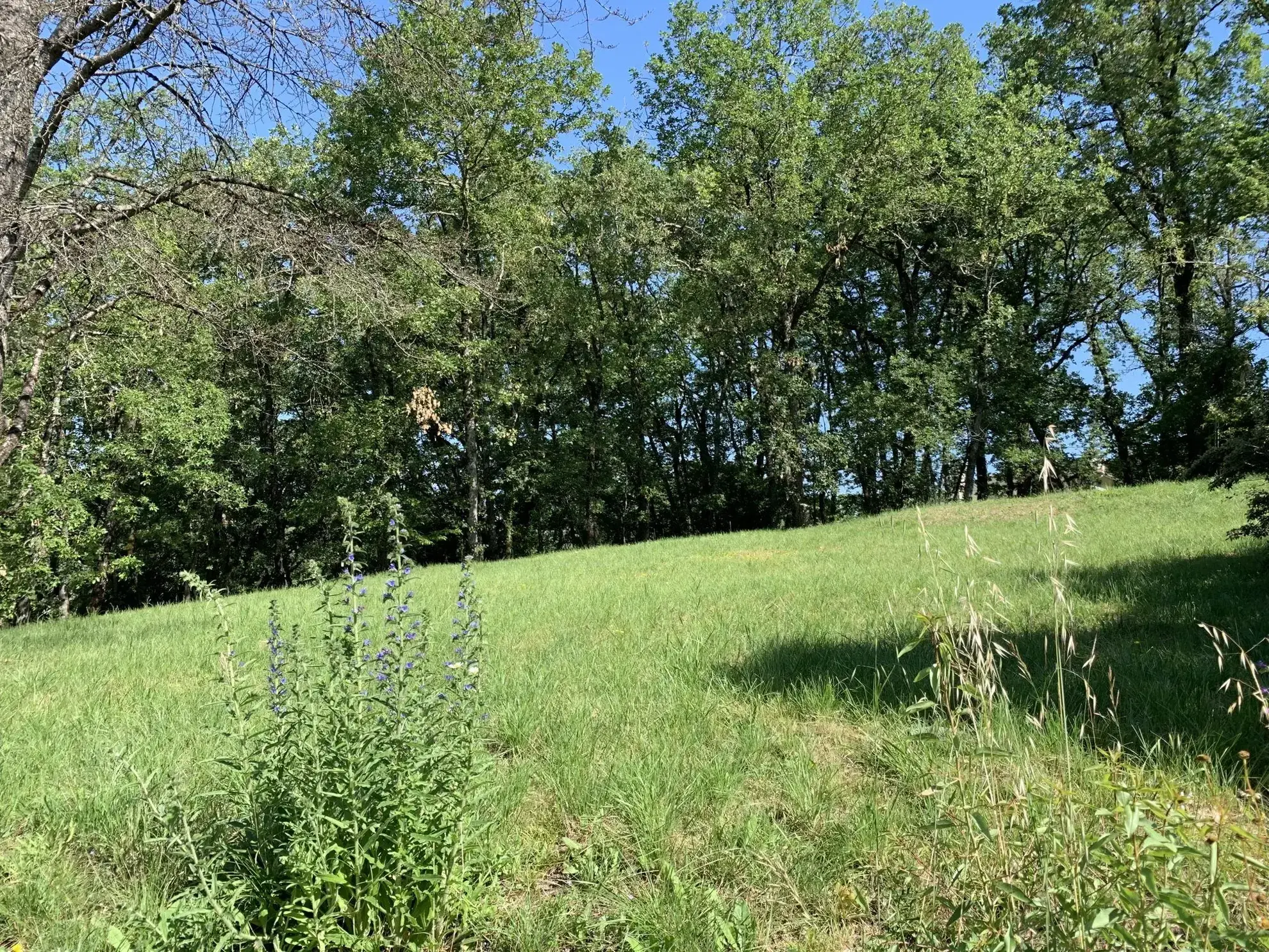 A vendre terrain constructible à Puygouzon avec vue exceptionnelle 