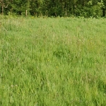 Terrain à bâtir de 1000 m² proche de Fécamp, environnement calme et viabilisé