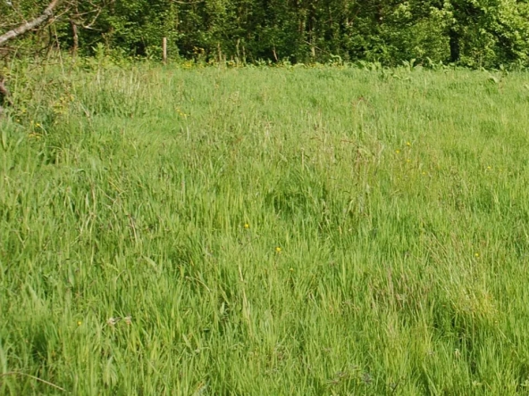 Terrain à bâtir de 1000 m² proche de Fécamp, environnement calme et viabilisé