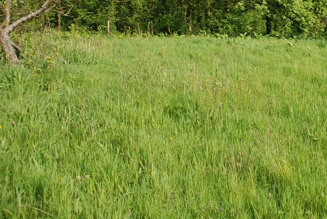 Terrain à bâtir de 1000 m² proche de Fécamp, environnement calme et viabilisé 