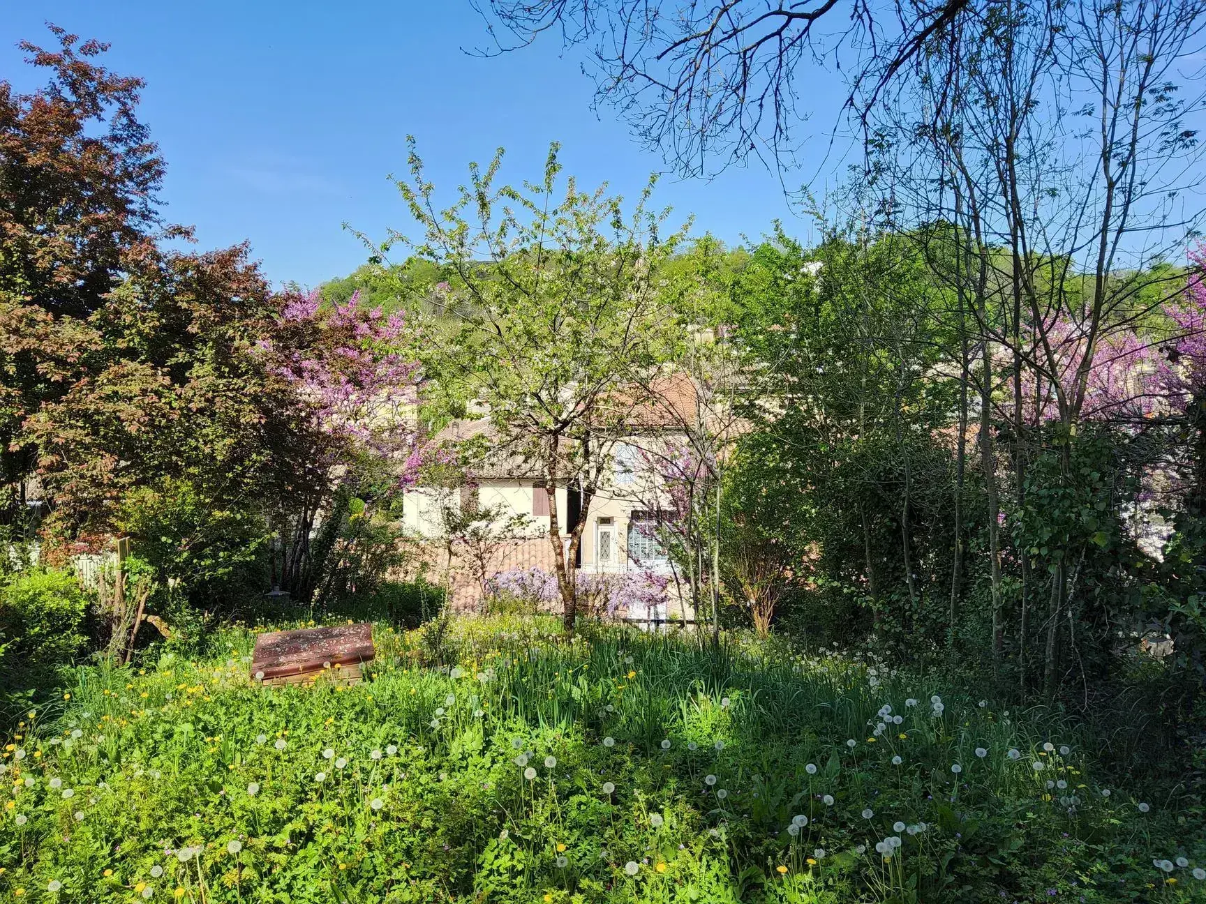 Maison de ville à Langoiran avec terrasse et jardin – 109 m² 