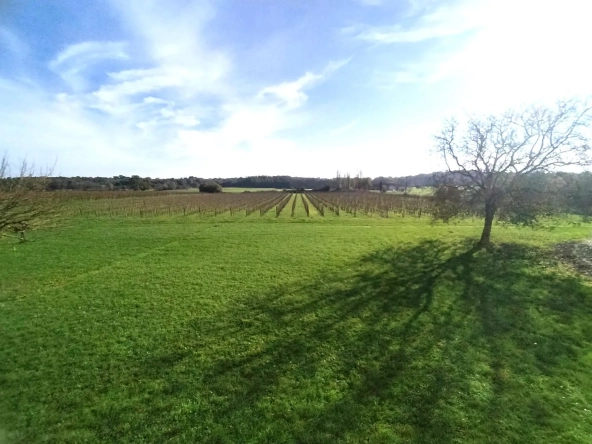 Charmante maison à rénover avec grand jardin à Saint-Pierre-de-Bat
