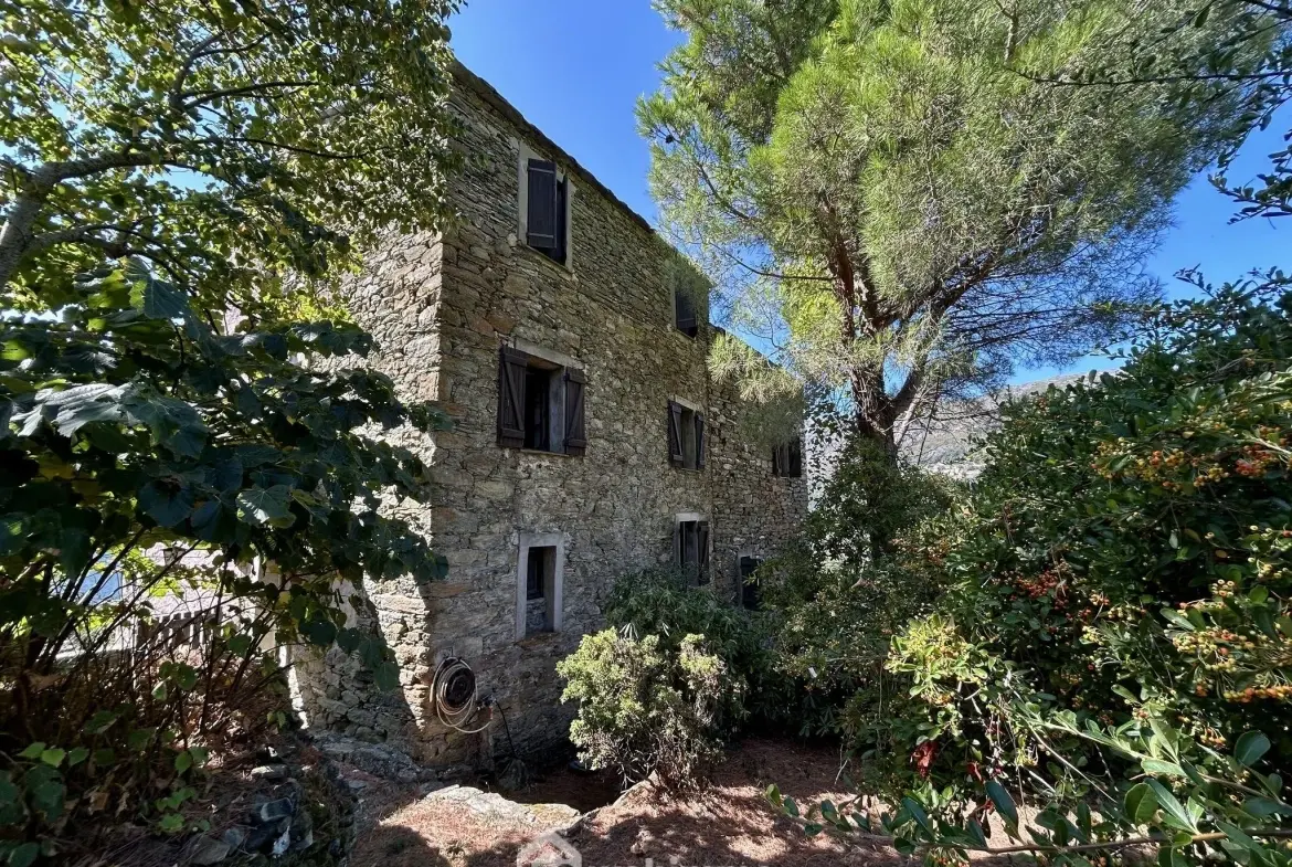 Maison de village à Bigorno avec terrasse et vue panoramique en Corse 