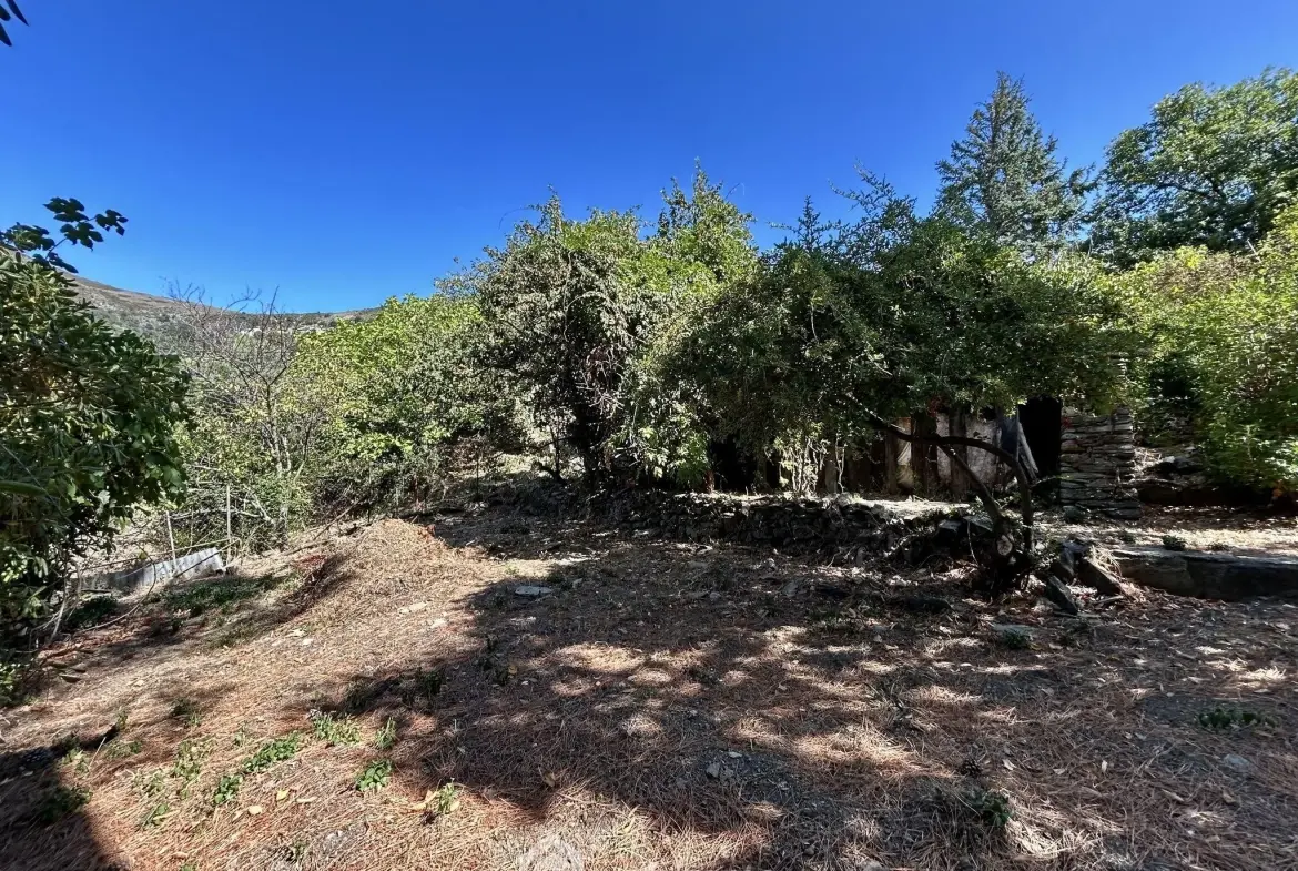 Maison de village à Bigorno avec terrasse et vue panoramique en Corse 