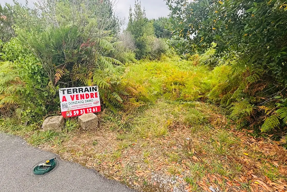 Terrain constructible plat de 242 m² à Labenne en vente 
