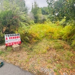 Terrain constructible plat de 242 m² à Labenne en vente