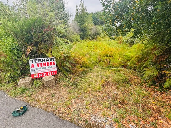 Terrain constructible plat de 242 m² à Labenne en vente