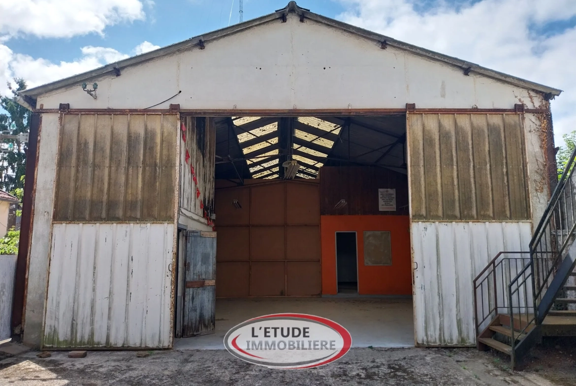 Maison à Sainte-Pazanne avec grand potentiel et espace professionnel 