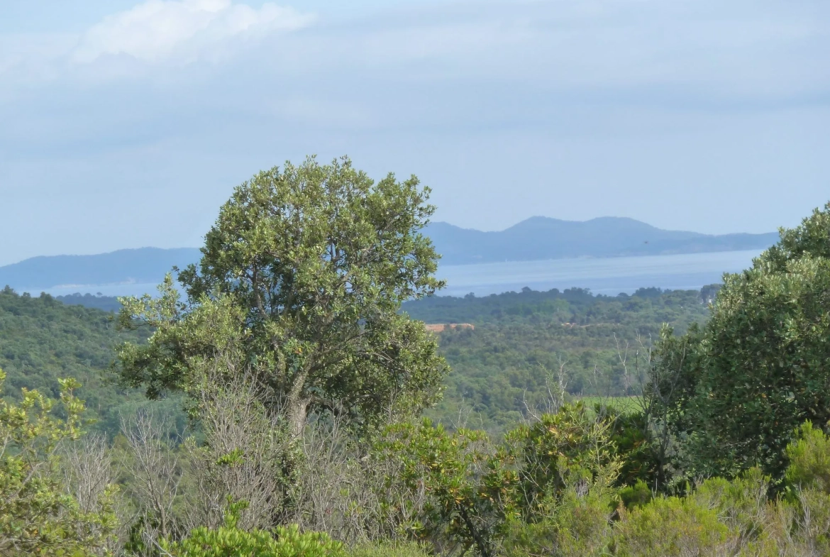 Terrain de 18 200 m² avec Vue Mer en Zone Naturelle à La Londe-les-Maures 