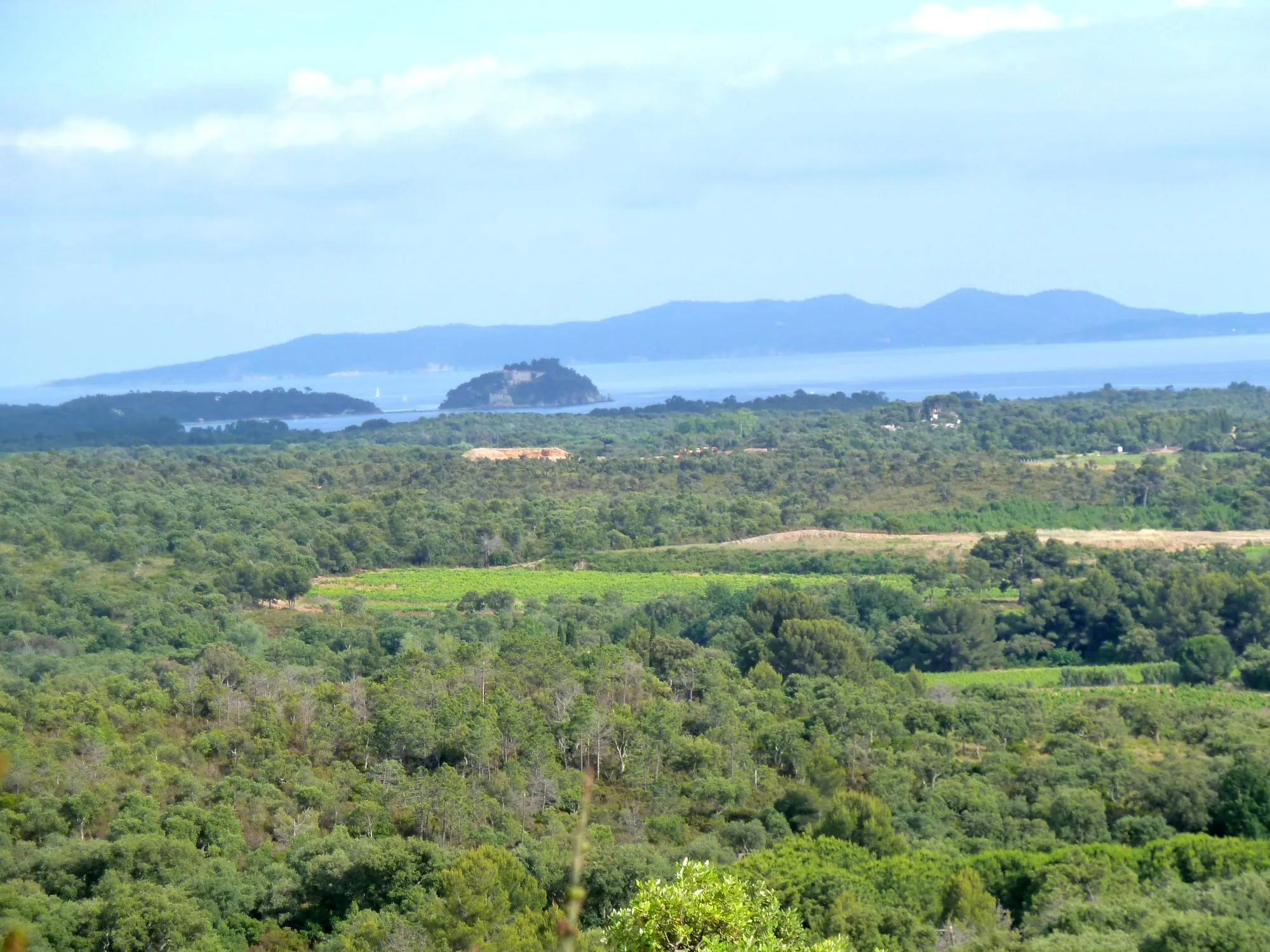 Terrain de 18 200 m² avec Vue Mer en Zone Naturelle à La Londe-les-Maures 