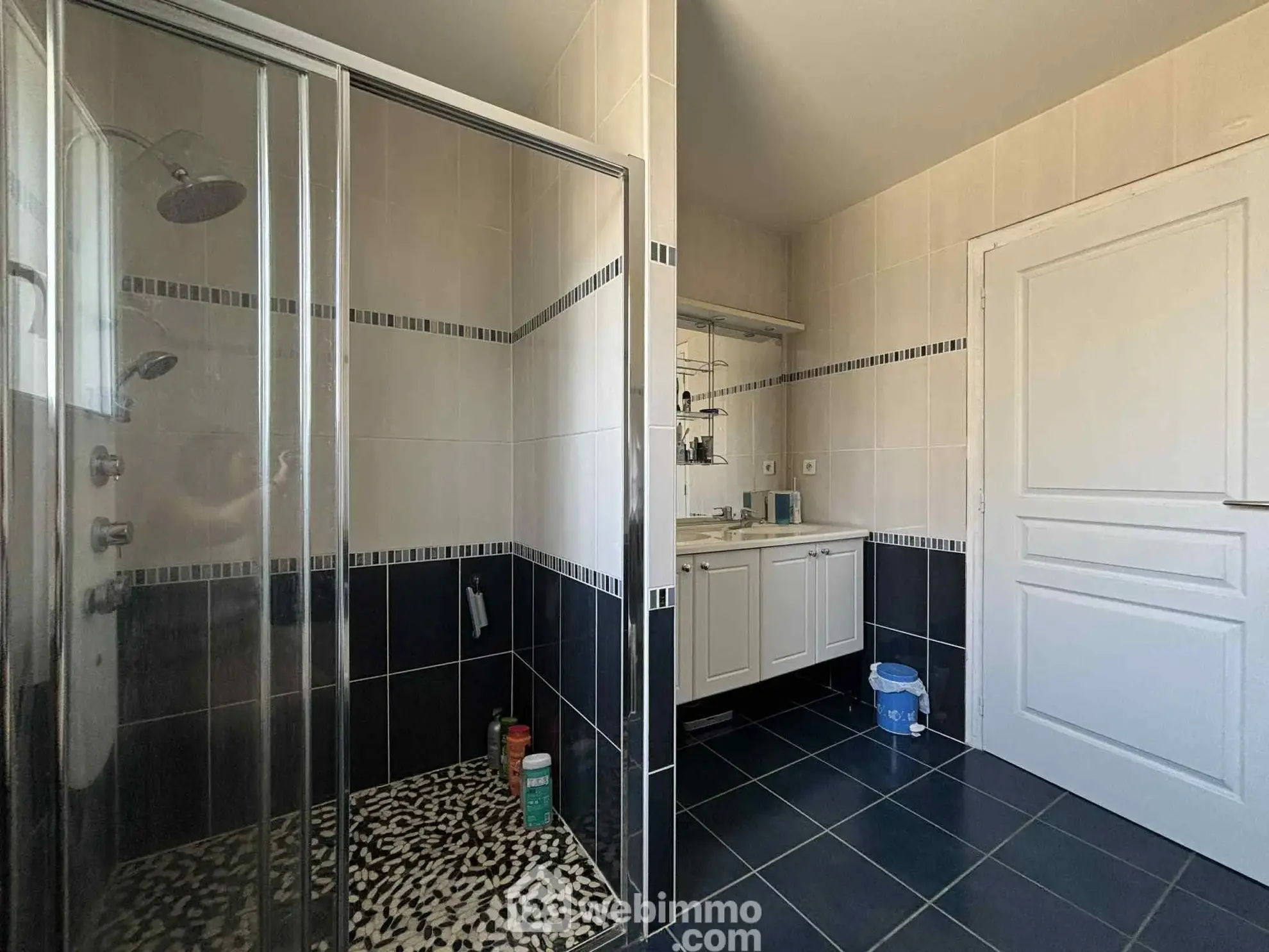 Maison lumineuse de plain-pied à Descartes avec grand sous-sol et terrain de 1166 m² 