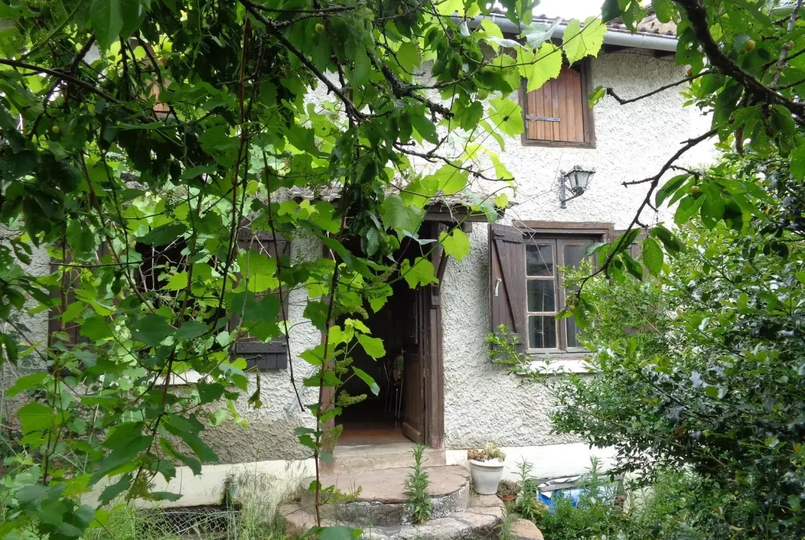 Maison de campagne à Lamure-sur-Azergues - Maison en pierre avec terrain et potentiel 
