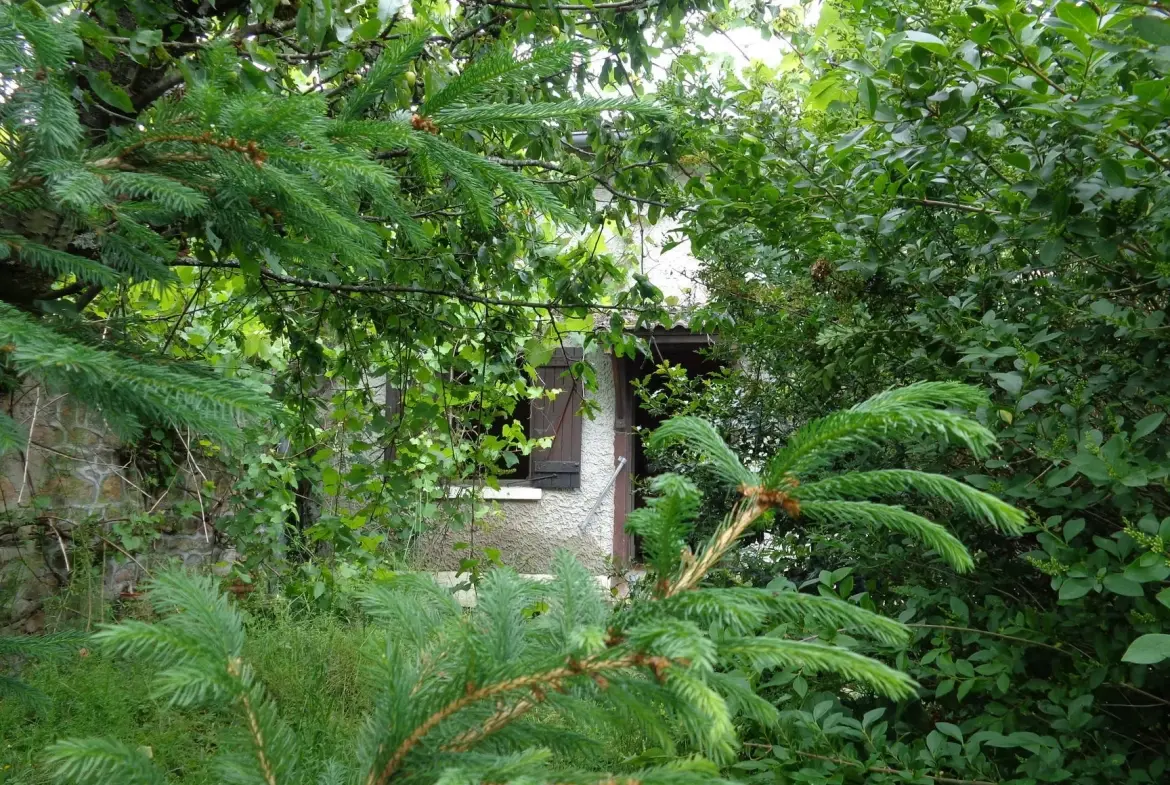 Maison de campagne à Lamure-sur-Azergues - Maison en pierre avec terrain et potentiel 