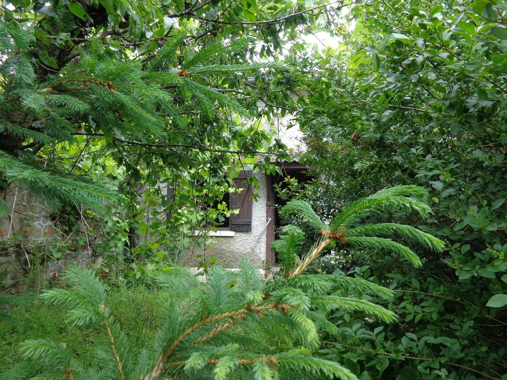 Maison de campagne à Lamure-sur-Azergues - Maison en pierre avec terrain et potentiel 